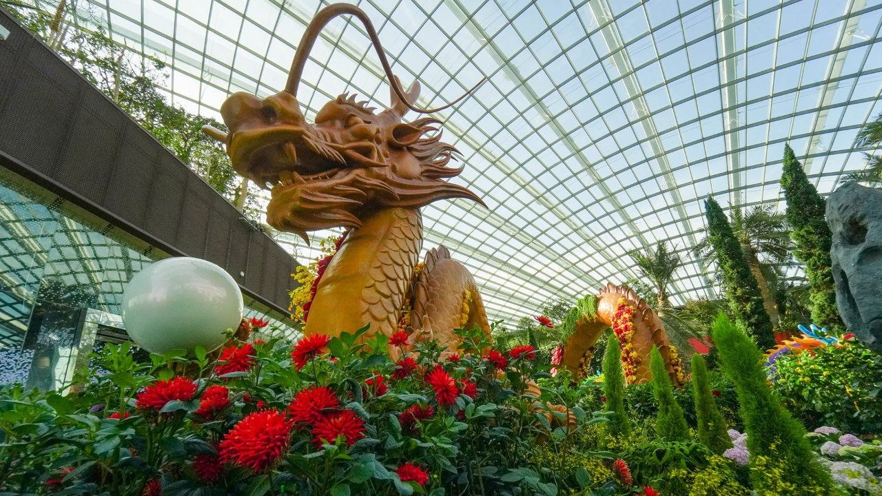 At the Dahlia Dreams floral display, eight dragons greet visitors, including a 15m-long centrepiece two-storeys high that rises amidst a thousand colourful dahlias