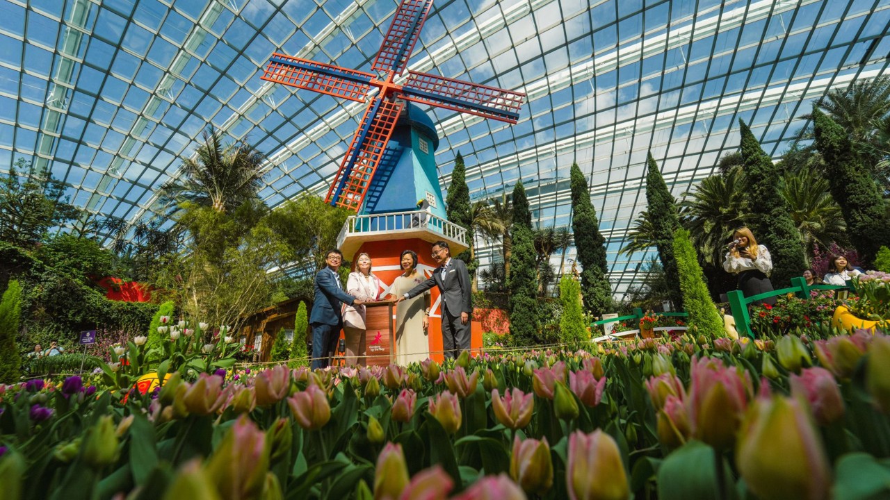 Gardens by the Bay Board Director Eugene Wong,  Ambassador of the Kingdom of the Netherlands to Singapore Her Excellency Anneke Adema, Senior Minister of State for Foreign Affairs and National Development Sim Ann, and Gardens by the Bay CEO Felix Loh launch Tulipmania.