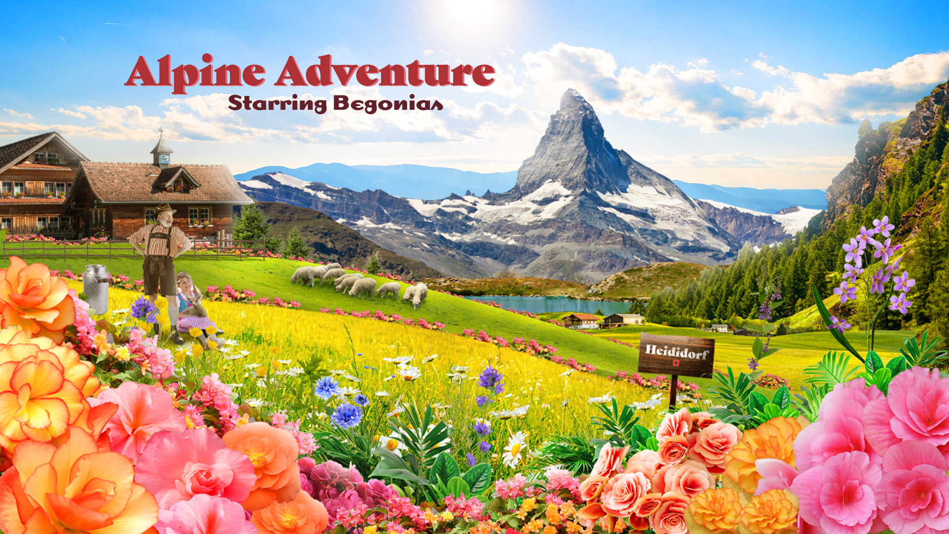 Alpine Adventure starring Begonias