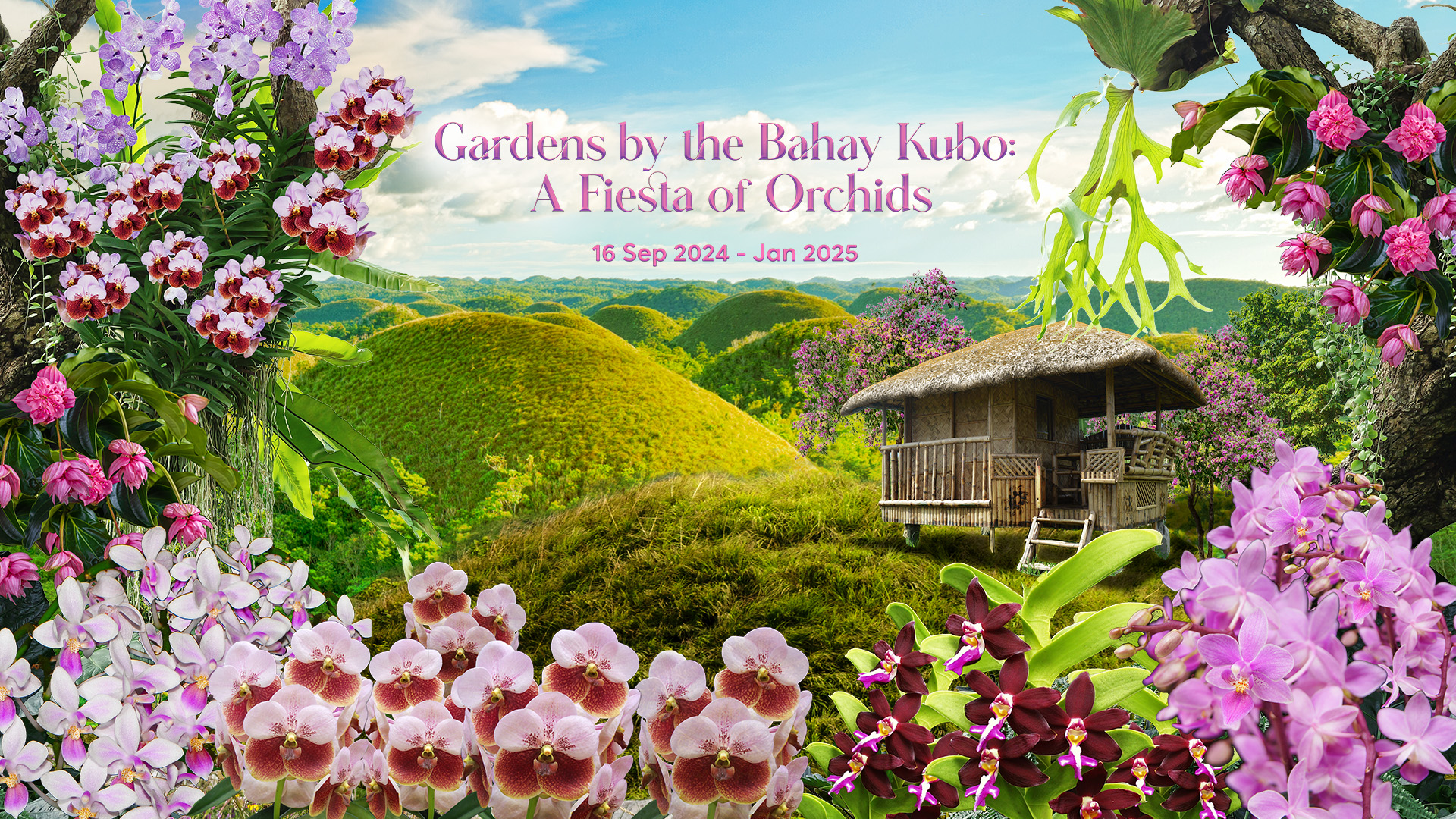 Gardens by the Bahay Kubo: A Fiesta of Orchids