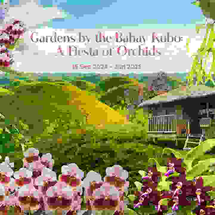Gardens by the Bahay Kubo: A Fiesta of Orchids