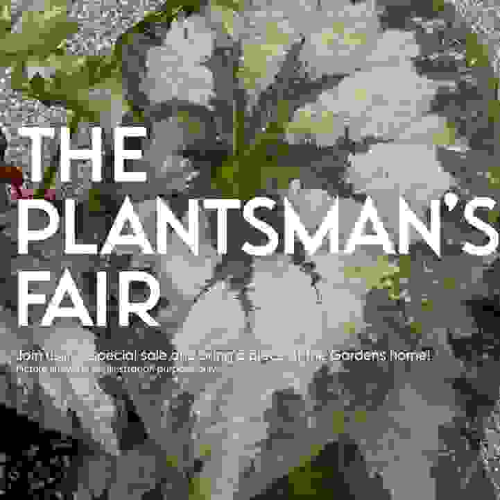 The Plantsman's Fair